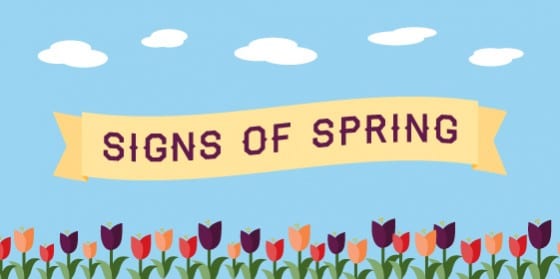 Signs of Spring