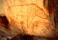 Cave Paintings Cave Paintings