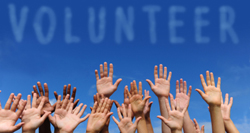 Community Volunteer