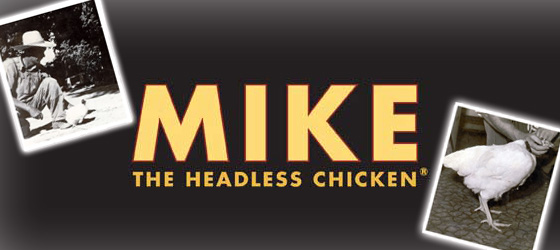 Mike the Headless Chicken 