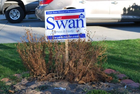 Swan Election Sign