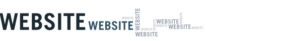 Webstie2