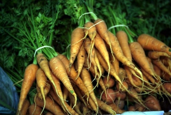 Carrots_with_stems