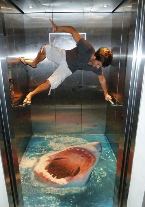 Elevator shark Floor Graphic