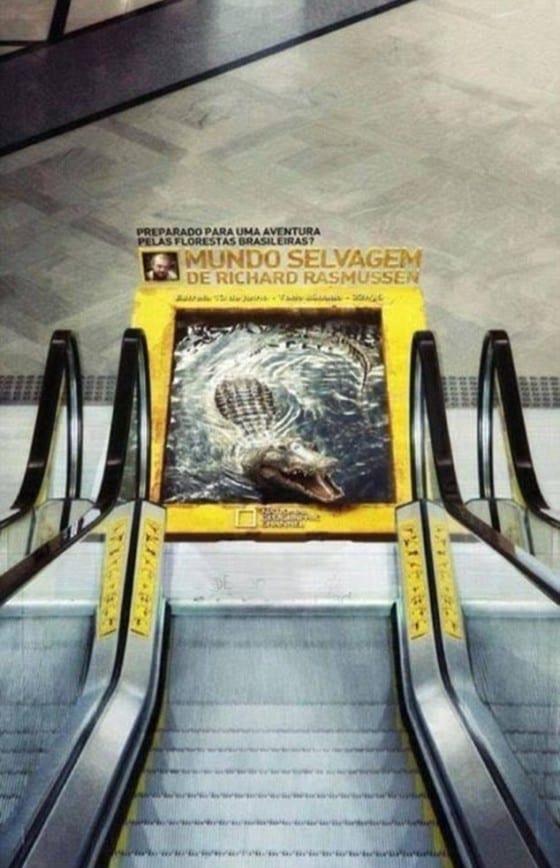 alligator escalator floor graphic