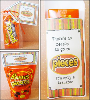 Reese's Pieces Care Package