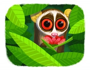 Slender Loris art