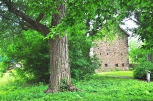 Building on grounds