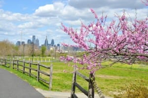 View of Philly