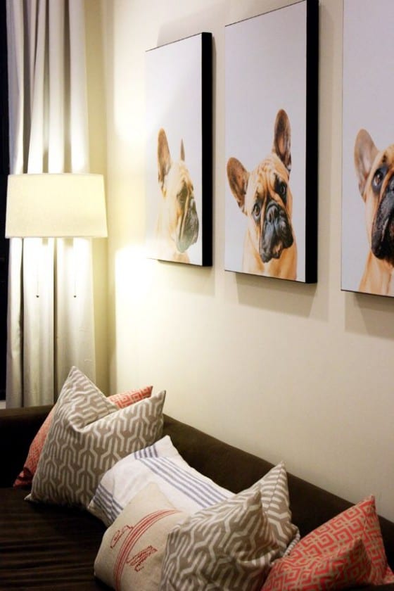 dog canvas prints