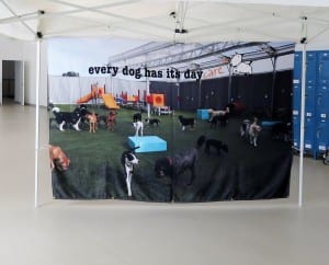 Design Dog Banner