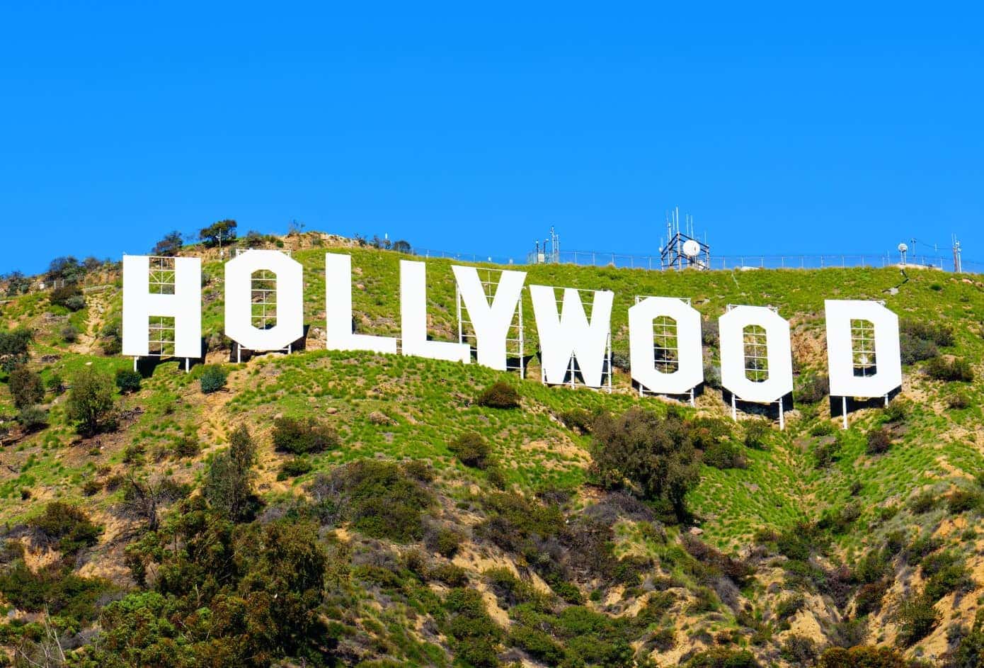 Famous Signs Across The 50 States