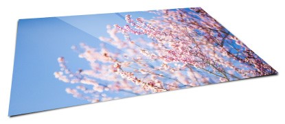 large glossy photo prints
